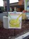 Taco Bells New Drink Is Sue-Able!  